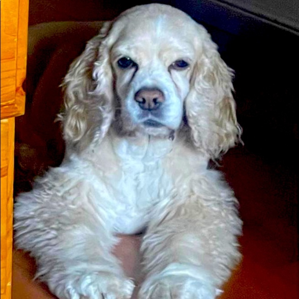 Meet your Posher, John